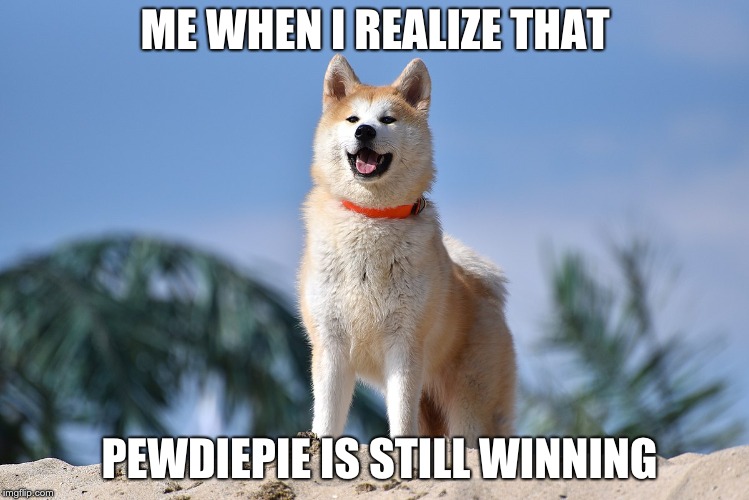 Pewdiepie's Doggo fan | ME WHEN I REALIZE THAT; PEWDIEPIE IS STILL WINNING | image tagged in memes | made w/ Imgflip meme maker