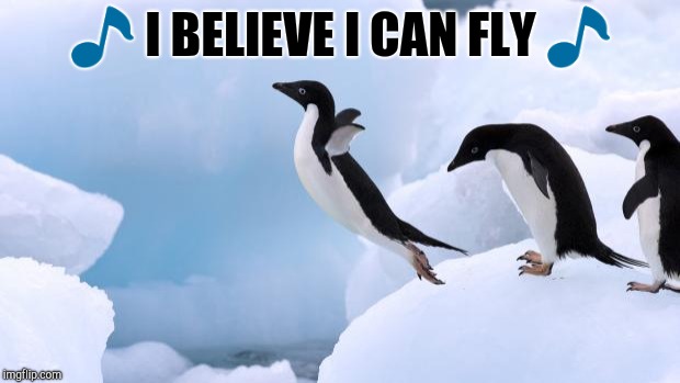 flying penguin | image tagged in flying penguin | made w/ Imgflip meme maker