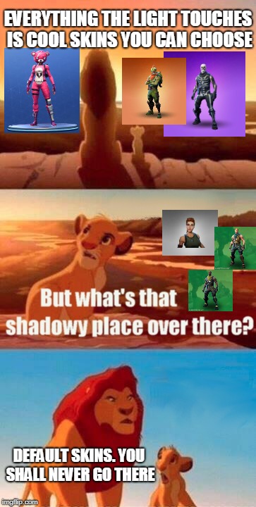 Simba Shadowy Place Meme | EVERYTHING THE LIGHT TOUCHES IS COOL SKINS YOU CAN CHOOSE; DEFAULT SKINS.
YOU SHALL NEVER GO THERE | image tagged in memes,simba shadowy place | made w/ Imgflip meme maker