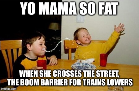 Yo Mamas So Fat Meme | YO MAMA SO FAT; WHEN SHE CROSSES THE STREET, THE BOOM BARRIER FOR TRAINS LOWERS | image tagged in memes,yo mamas so fat | made w/ Imgflip meme maker