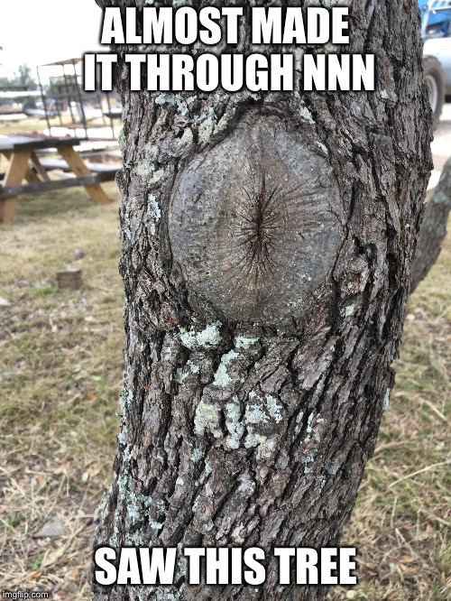 So close | ALMOST MADE IT THROUGH NNN; SAW THIS TREE | image tagged in memes,no nut november | made w/ Imgflip meme maker