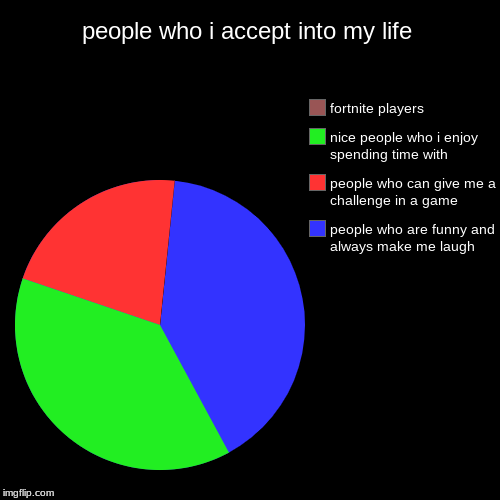 people who i accept into my life | people who are funny and always make me laugh, people who can give me a challenge in a game, nice people  | image tagged in funny,pie charts | made w/ Imgflip chart maker