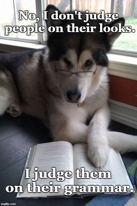 reading dog | No, I don't judge people on their looks. I judge them on their grammar. | image tagged in reading dog | made w/ Imgflip meme maker