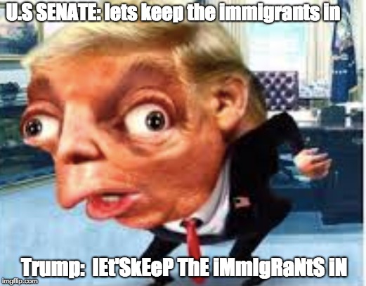 U.S ARGUMENT | U.S SENATE: lets keep the immigrants in; Trump:  lEt'SkEeP ThE iMmIgRaNtS iN | image tagged in politics,funny,donald trump,president trump,us senate | made w/ Imgflip meme maker