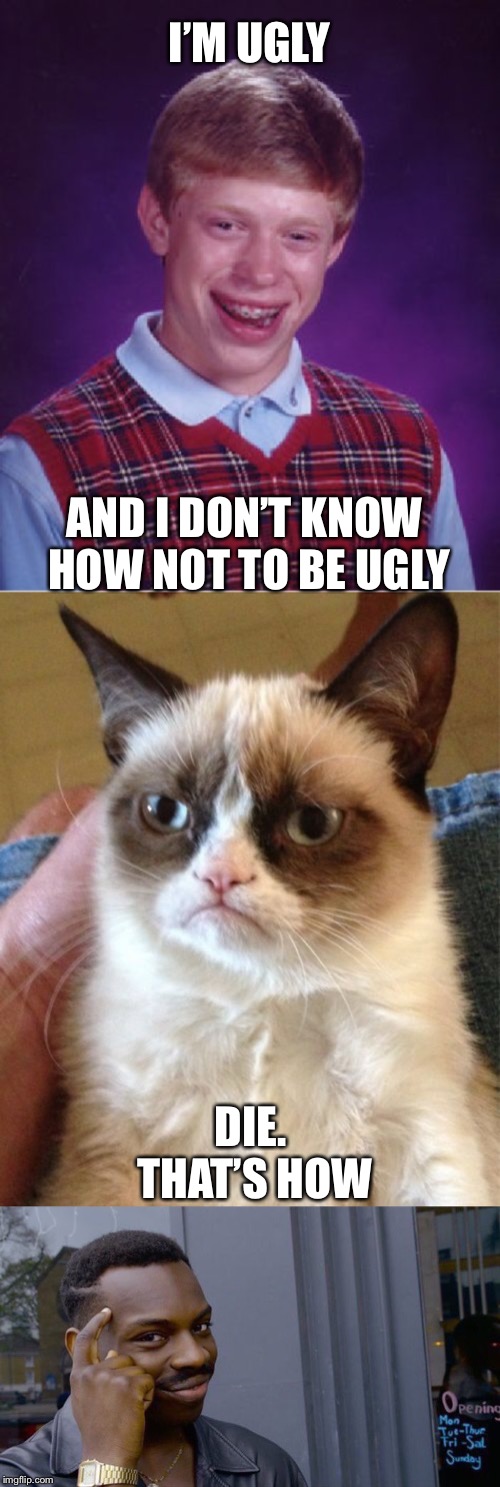 I’M UGLY; AND I DON’T KNOW HOW NOT TO BE UGLY; DIE. THAT’S HOW | image tagged in memes,bad luck brian,grumpy cat,roll safe think about it | made w/ Imgflip meme maker