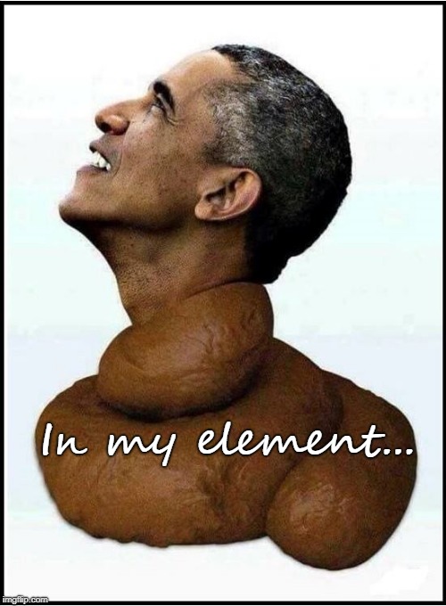Yes indeed... | In my element... | image tagged in element,barfy,obama | made w/ Imgflip meme maker
