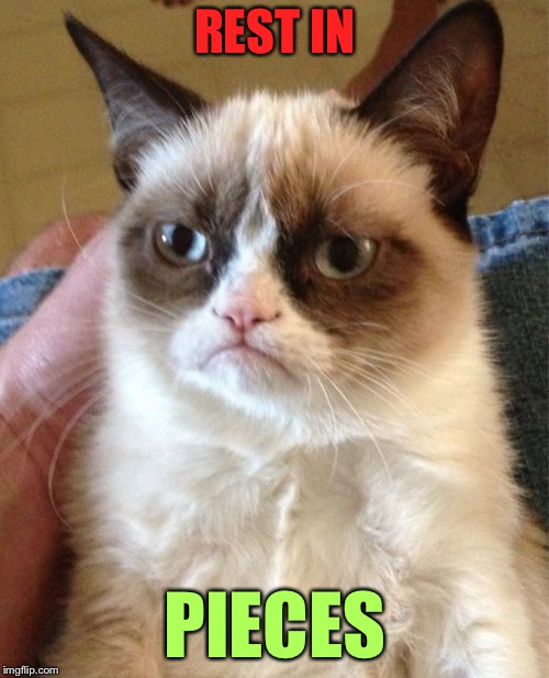 Grumpy Cat Meme | REST IN PIECES | image tagged in memes,grumpy cat | made w/ Imgflip meme maker