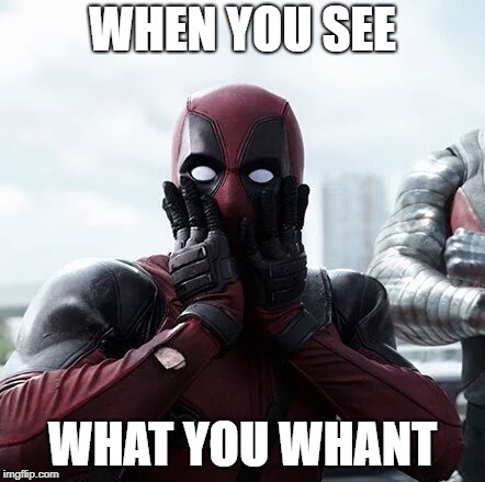 Deadpool Surprised | WHEN YOU SEE; WHAT YOU WHANT | image tagged in memes,deadpool surprised | made w/ Imgflip meme maker