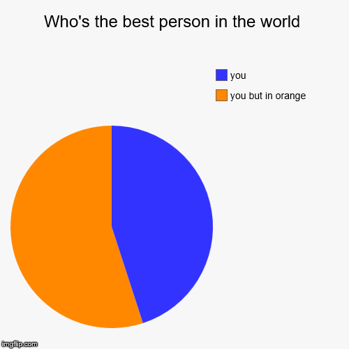 Who's the best person in the world | you but in orange, you | image tagged in funny,pie charts | made w/ Imgflip chart maker