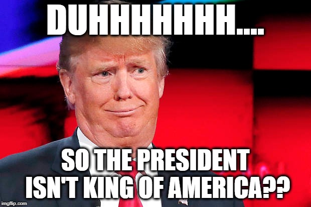 He Seriously Has No Idea How Our Country Actually Works. | DUHHHHHHH.... SO THE PRESIDENT ISN'T KING OF AMERICA?? | image tagged in donald trump,stupid,dictator,treason,traitor,impeach | made w/ Imgflip meme maker