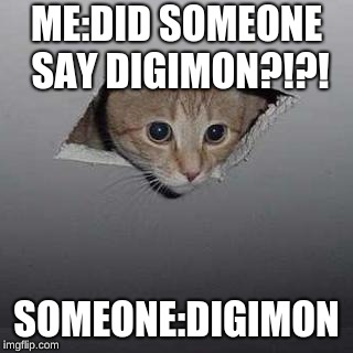 Ceiling Cat | ME:DID SOMEONE SAY DIGIMON?!?! SOMEONE:DIGIMON | image tagged in memes,ceiling cat | made w/ Imgflip meme maker