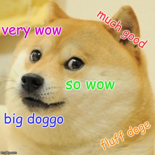 Doge Meme | much good; very wow; so wow; big doggo; fluff doge | image tagged in memes,doge | made w/ Imgflip meme maker