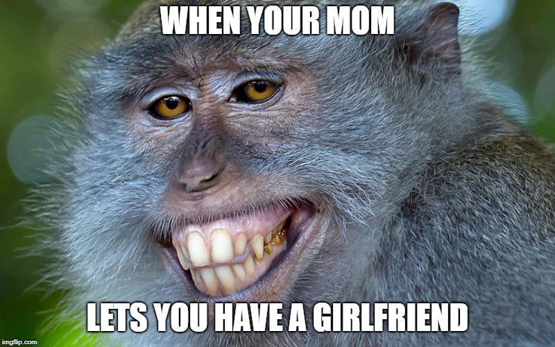 teenage boys be like | WHEN YOUR MOM; LETS YOU HAVE A GIRLFRIEND | image tagged in monkey,teenagers | made w/ Imgflip meme maker