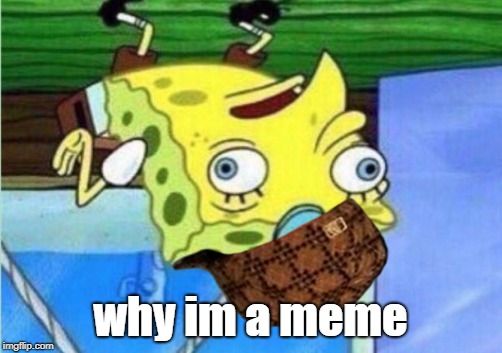 Mocking Spongebob | why im a meme | image tagged in memes,mocking spongebob,scumbag | made w/ Imgflip meme maker