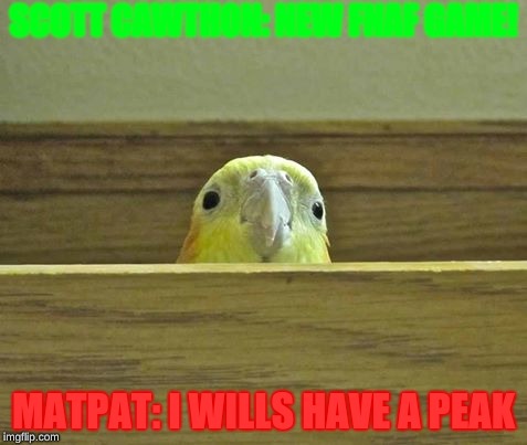 The Birb | SCOTT CAWTHON: NEW FNAF GAME! MATPAT: I WILLS HAVE A PEAK | image tagged in the birb | made w/ Imgflip meme maker