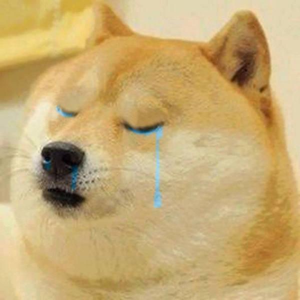 High Quality crying doge Blank Meme Template