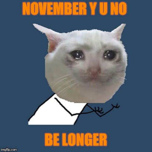 Y U NOvember, a socrates and punman21 event: My final entry; kitty is sad this is the last day | NOVEMBER Y U NO; BE LONGER | image tagged in crying cat y u no,y u november,final entry | made w/ Imgflip meme maker