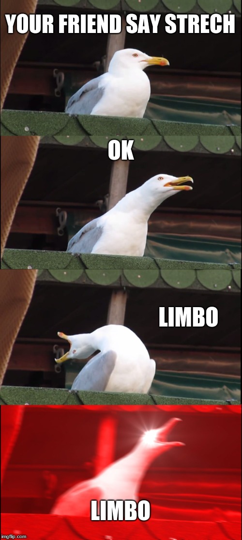 Inhaling Seagull Meme | YOUR FRIEND SAY STRECH; OK; LIMBO; LIMBO | image tagged in memes,inhaling seagull | made w/ Imgflip meme maker