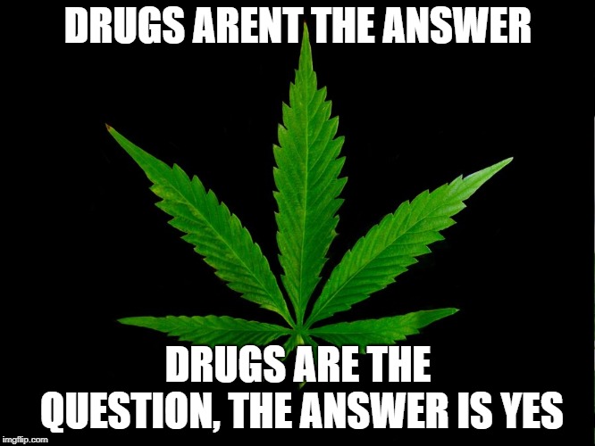 Marajuana Leaf | DRUGS ARENT THE ANSWER; DRUGS ARE THE QUESTION, THE ANSWER IS YES | image tagged in marajuana leaf | made w/ Imgflip meme maker