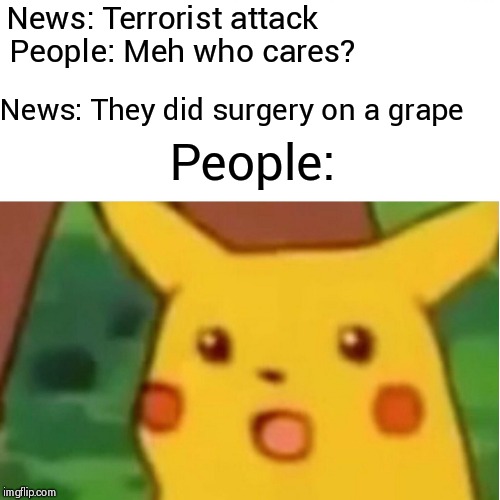 Surprised Pikachu | News: Terrorist attack; People: Meh who cares? News: They did surgery on a grape; People: | image tagged in memes,surprised pikachu | made w/ Imgflip meme maker