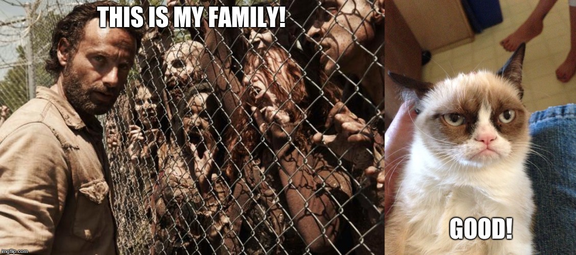THIS IS MY FAMILY! GOOD! | image tagged in zombies | made w/ Imgflip meme maker