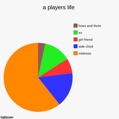 yer average players life style | a players life | mistress, side chick, girl friend, ex, hoes and thots | image tagged in funny,pie charts | made w/ Imgflip chart maker