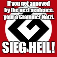 Grammar Nazi | If you get annoyed by the next sentence. your a Grammer Natzi. SIEG HEIL! | image tagged in grammar nazi | made w/ Imgflip meme maker