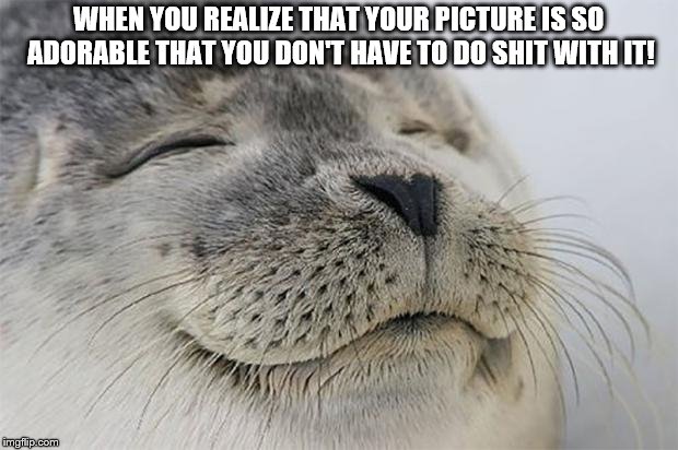 Adorable Perfection Achieved | WHEN YOU REALIZE THAT YOUR PICTURE IS SO ADORABLE THAT YOU DON'T HAVE TO DO SHIT WITH IT! | image tagged in memes,satisfied seal | made w/ Imgflip meme maker