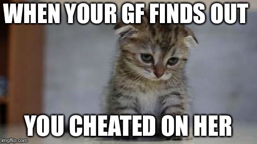 Sad kitten | WHEN YOUR GF FINDS OUT; YOU CHEATED ON HER | image tagged in sad kitten | made w/ Imgflip meme maker