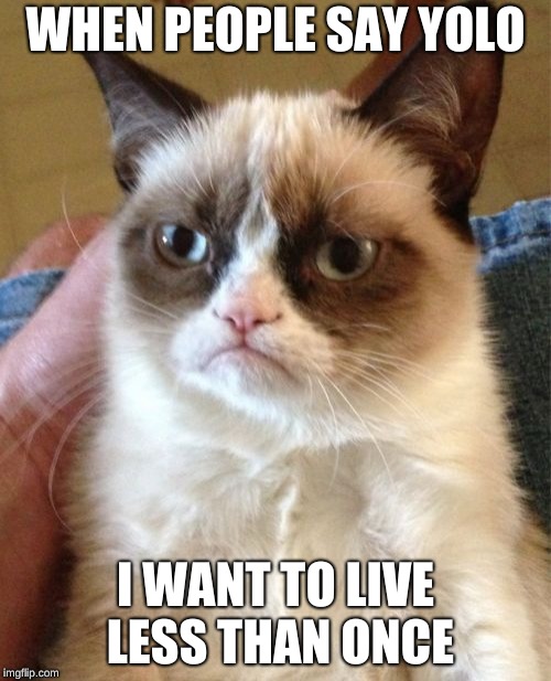 Grumpy Cat Meme | WHEN PEOPLE SAY YOLO; I WANT TO LIVE LESS THAN ONCE | image tagged in memes,grumpy cat | made w/ Imgflip meme maker