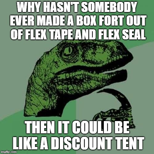 Flex Tape Box Fort | WHY HASN'T SOMEBODY EVER MADE A BOX FORT OUT OF FLEX TAPE AND FLEX SEAL; THEN IT COULD BE LIKE A DISCOUNT TENT | image tagged in memes,philosoraptor,flex tape,flex seal,phil swift,box fort | made w/ Imgflip meme maker