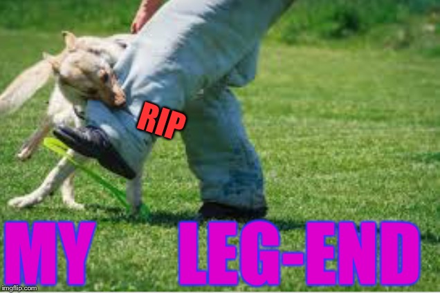 RIP MY      LEG-END | made w/ Imgflip meme maker