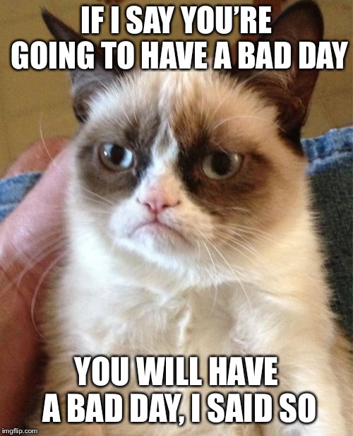 Grumpy Cat | IF I SAY YOU’RE GOING TO HAVE A BAD DAY; YOU WILL HAVE A BAD DAY, I SAID SO | image tagged in memes,grumpy cat | made w/ Imgflip meme maker