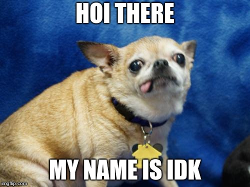 Derpy Dog | HOI THERE; MY NAME IS IDK | image tagged in derpy dog | made w/ Imgflip meme maker