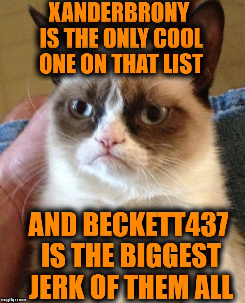 Grumpy Cat Meme | XANDERBRONY IS THE ONLY COOL ONE ON THAT LIST AND BECKETT437 IS THE BIGGEST JERK OF THEM ALL | image tagged in memes,grumpy cat | made w/ Imgflip meme maker
