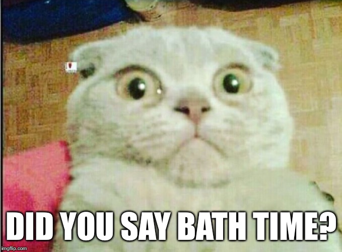 DID YOU SAY BATH TIME? | made w/ Imgflip meme maker