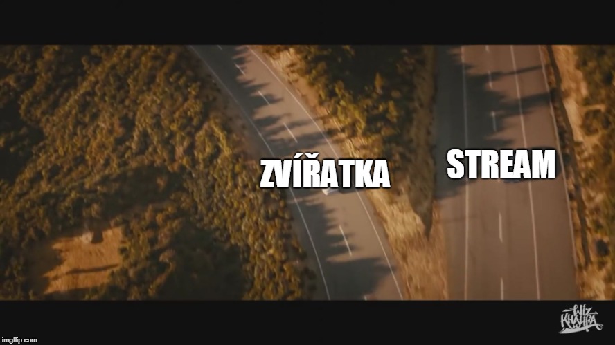 when i se you again | STREAM; ZVÍŘATKA | image tagged in when i se you again | made w/ Imgflip meme maker