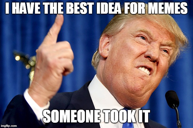 Donald Trump | I HAVE THE BEST IDEA FOR MEMES; SOMEONE TOOK IT | image tagged in donald trump | made w/ Imgflip meme maker