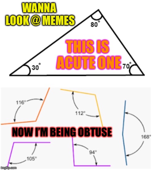 WANNA LOOK @ MEMES THIS IS ACUTE ONE NOW I’M BEING OBTUSE | made w/ Imgflip meme maker