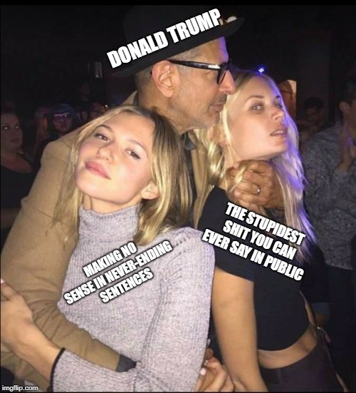 Jeff Goldblum Choking Girl | DONALD TRUMP; THE STUPIDEST SHIT YOU CAN EVER SAY IN PUBLIC; MAKING NO SENSE IN NEVER-ENDING 
SENTENCES | image tagged in jeff goldblum choking girl | made w/ Imgflip meme maker