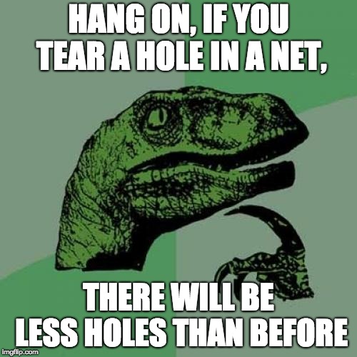 Philosoraptor | HANG ON, IF YOU TEAR A HOLE IN A NET, THERE WILL BE LESS HOLES THAN BEFORE | image tagged in memes,philosoraptor | made w/ Imgflip meme maker