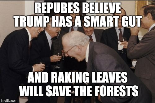 Laughing Men In Suits Meme | REPUBES BELIEVE TRUMP HAS A SMART GUT AND RAKING LEAVES WILL SAVE THE FORESTS | image tagged in memes,laughing men in suits | made w/ Imgflip meme maker