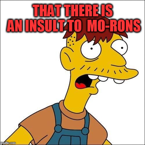 Some Kind Of Moron | THAT THERE IS AN INSULT TO  MO-RONS | image tagged in some kind of moron | made w/ Imgflip meme maker