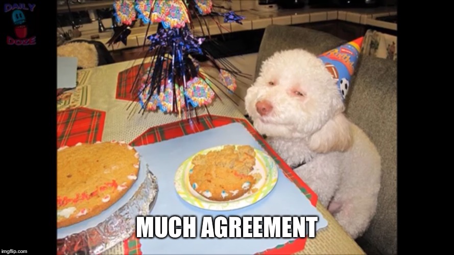 MUCH AGREEMENT | made w/ Imgflip meme maker