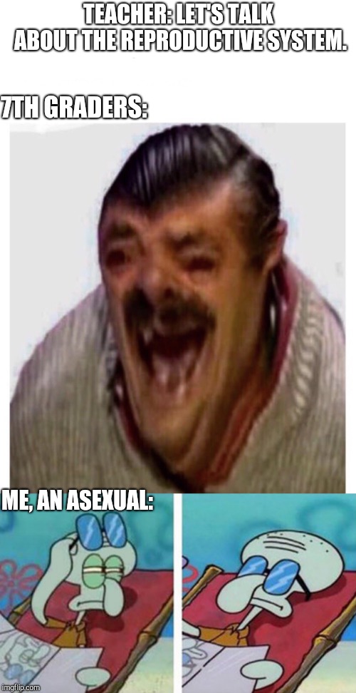 TEACHER: LET'S TALK ABOUT THE REPRODUCTIVE SYSTEM. 7TH GRADERS:; ME, AN ASEXUAL: | image tagged in squidward don't care,3rd grade niggas | made w/ Imgflip meme maker