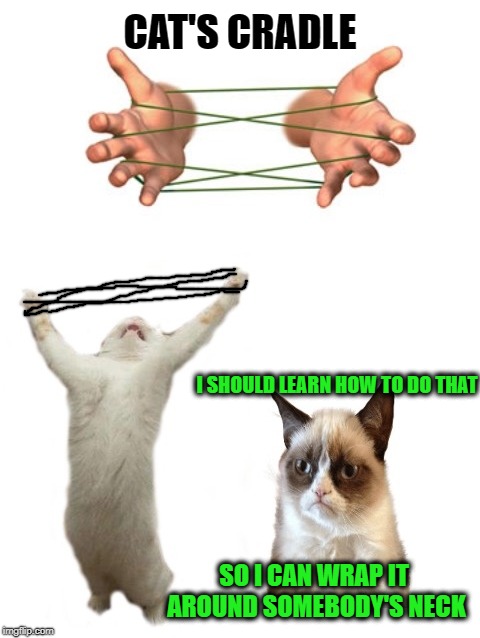 Cat's Cradle  | CAT'S CRADLE; I SHOULD LEARN HOW TO DO THAT; SO I CAN WRAP IT AROUND SOMEBODY'S NECK | image tagged in funny memes,cats,cat,cat memes,grumpy | made w/ Imgflip meme maker