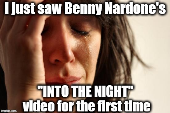 Between the video itself and the comments below it, WHY WASN'T I WARNED?? | I just saw Benny Nardone's; "INTO THE NIGHT" video for the first time | image tagged in memes,first world problems | made w/ Imgflip meme maker