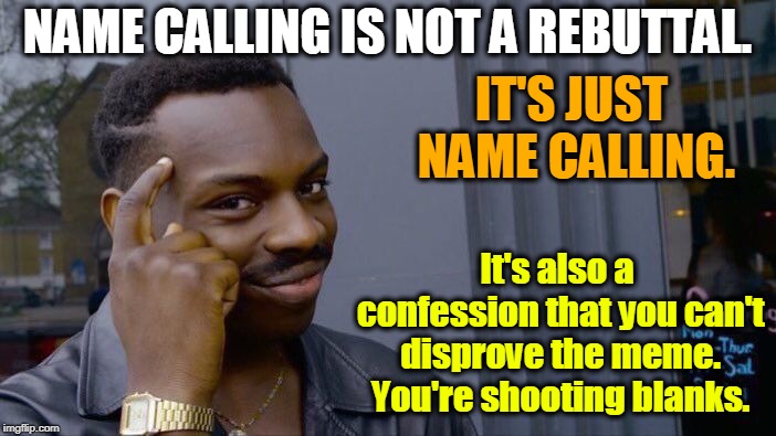 Roll Safe Think About It Meme | NAME CALLING IS NOT A REBUTTAL. It's also a confession that you can't disprove the meme. You're shooting blanks. IT'S JUST NAME CALLING. | image tagged in memes,roll safe think about it | made w/ Imgflip meme maker