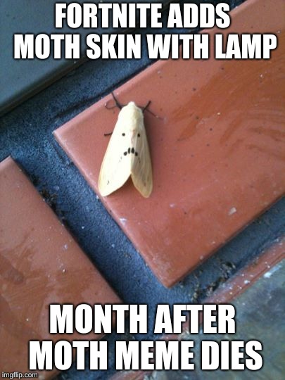 FORTNITE ADDS MOTH SKIN WITH LAMP; MONTH AFTER MOTH MEME DIES | image tagged in sad moth | made w/ Imgflip meme maker