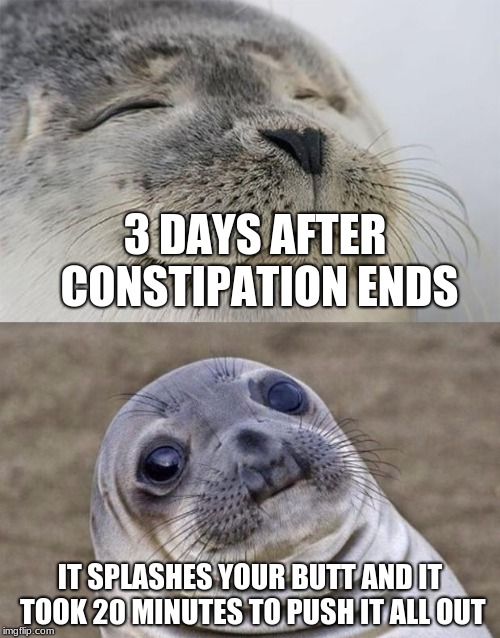Happens to me everyday I travel | 3 DAYS AFTER CONSTIPATION ENDS; IT SPLASHES YOUR BUTT AND IT TOOK 20 MINUTES TO PUSH IT ALL OUT | image tagged in memes,short satisfaction vs truth,constipation,it's all loose now | made w/ Imgflip meme maker
